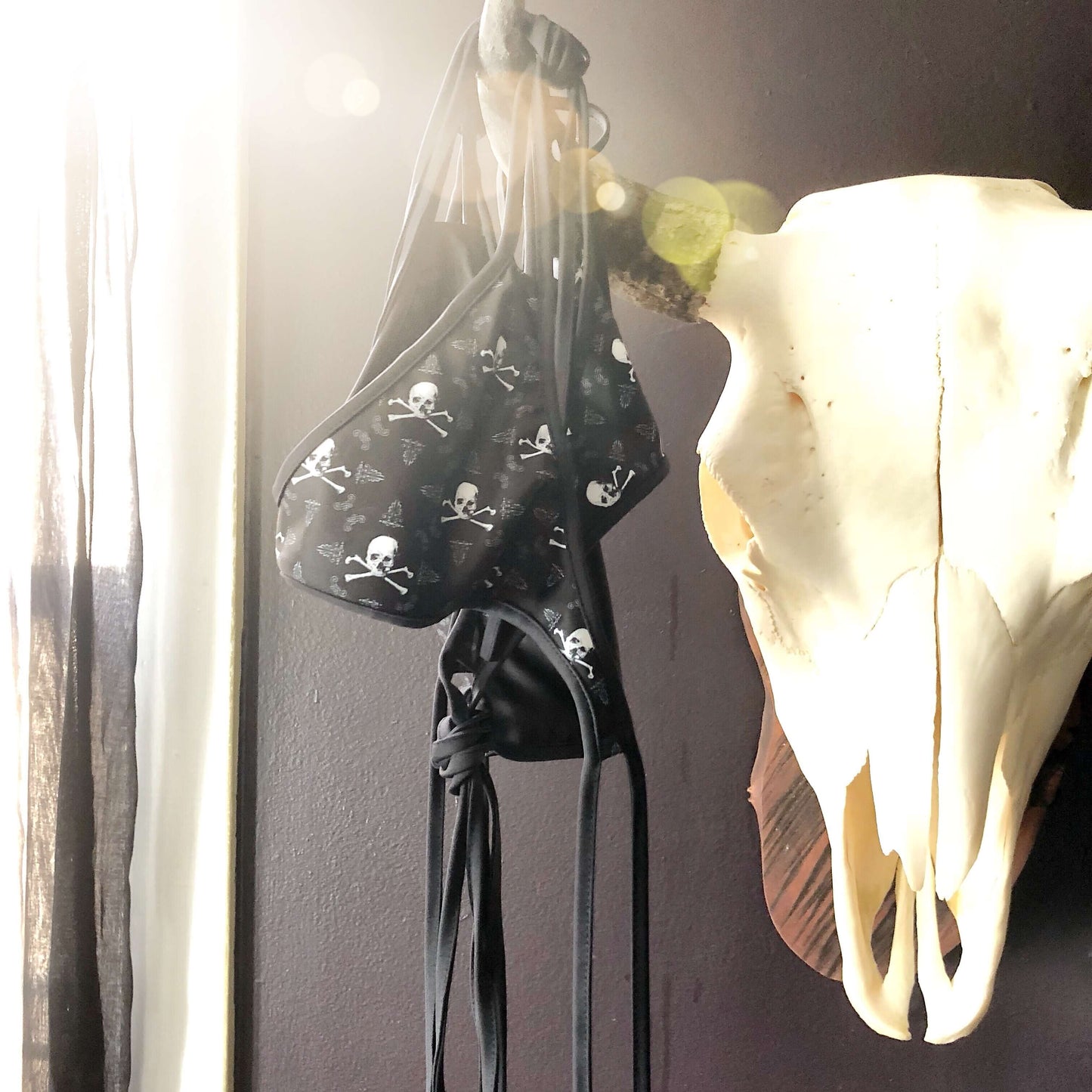 skull and crossbones reversible bikini hanging on a cow skull with sunlight flare