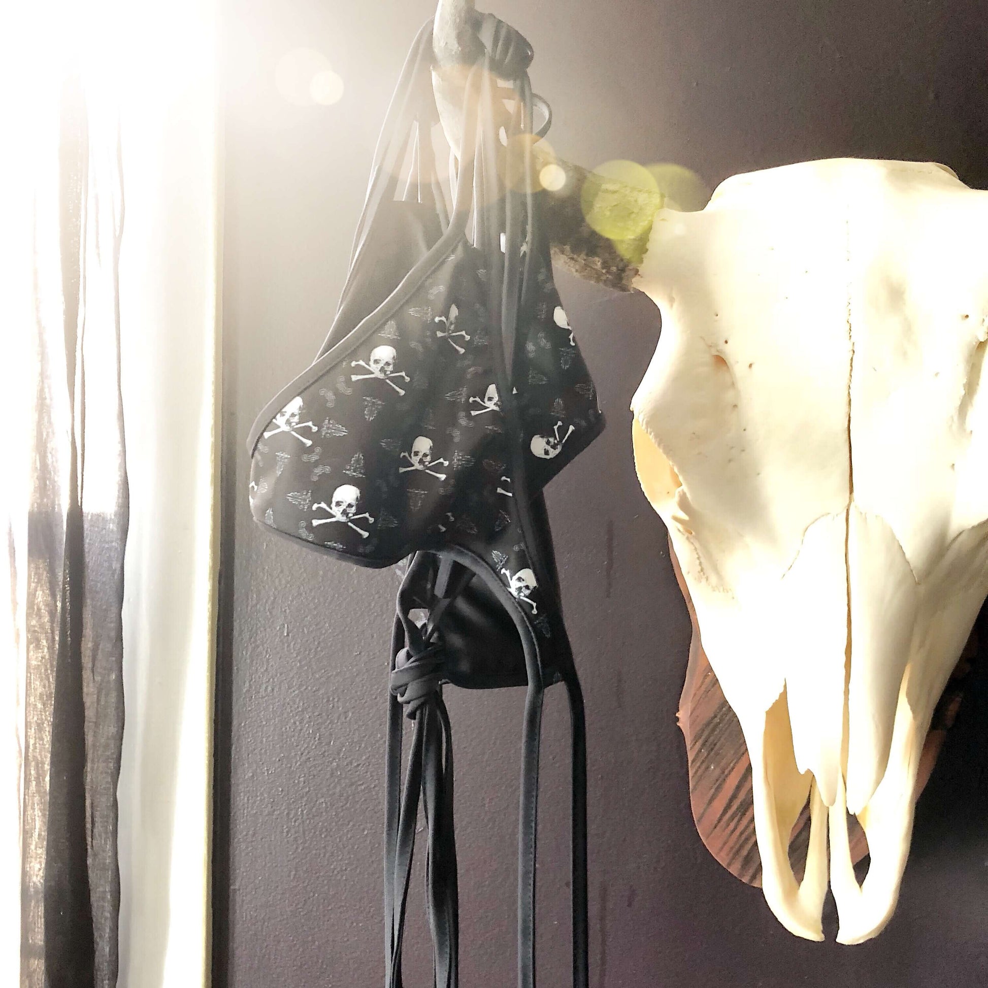 skull and crossbones reversible bikini hanging on a cow skull with sunlight flare